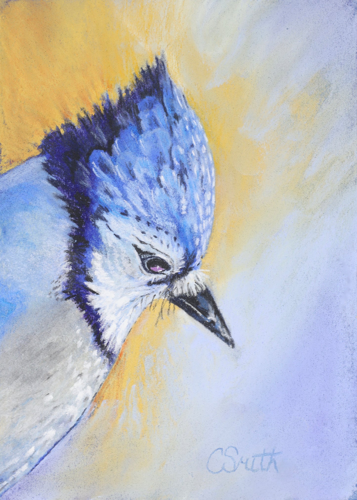 Blue Bird Giclee Print